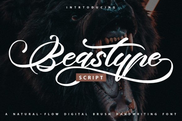 Beastype: The Modern Script Font for Creative Digital Brands