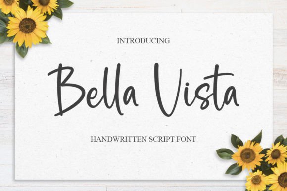 Bella Vista: The Elegant Script Font for Cohesive Business Branding