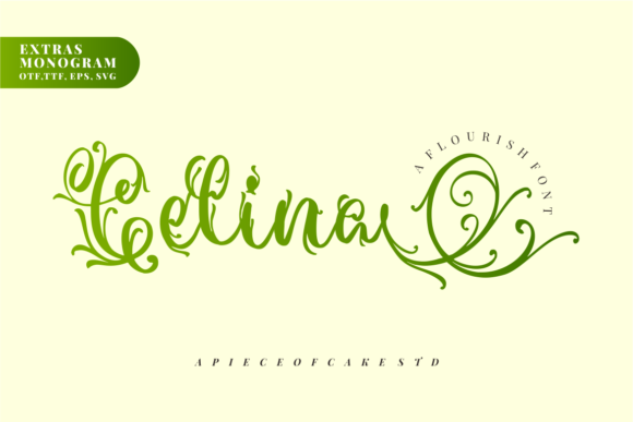 Celina Duo Is the Campaign Font That Actually Delivers