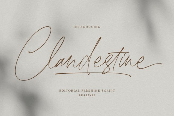 Clandestine: A Script Font for Editorial Elegance