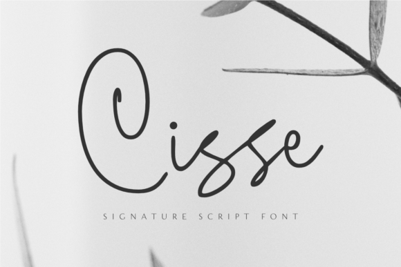 Enhance Your Brand with Cisse: A Premium Script Font