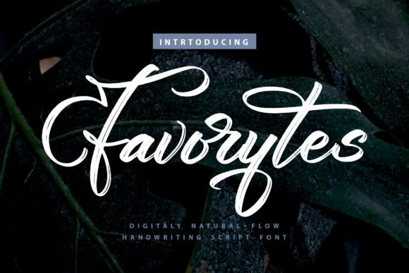 The Favorytes Font: A Trustworthy Typeface for Building Your Brand